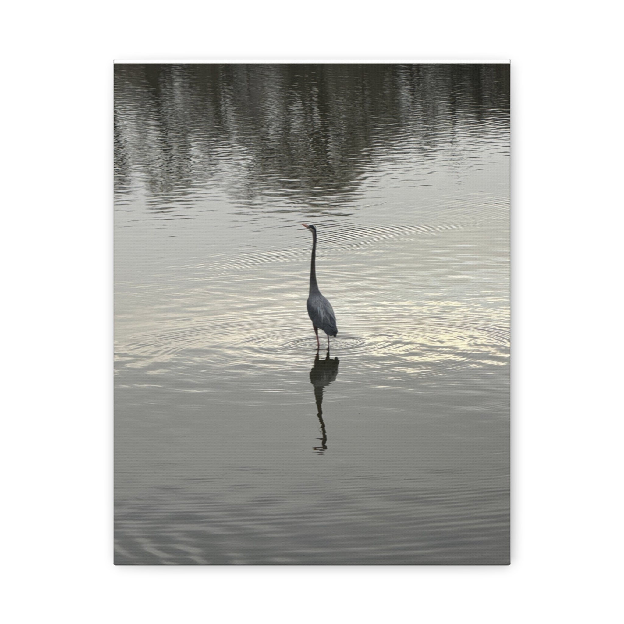 Lake Life Blue Heron Reflection Matte Stretched Canvas – Serene Wall Art