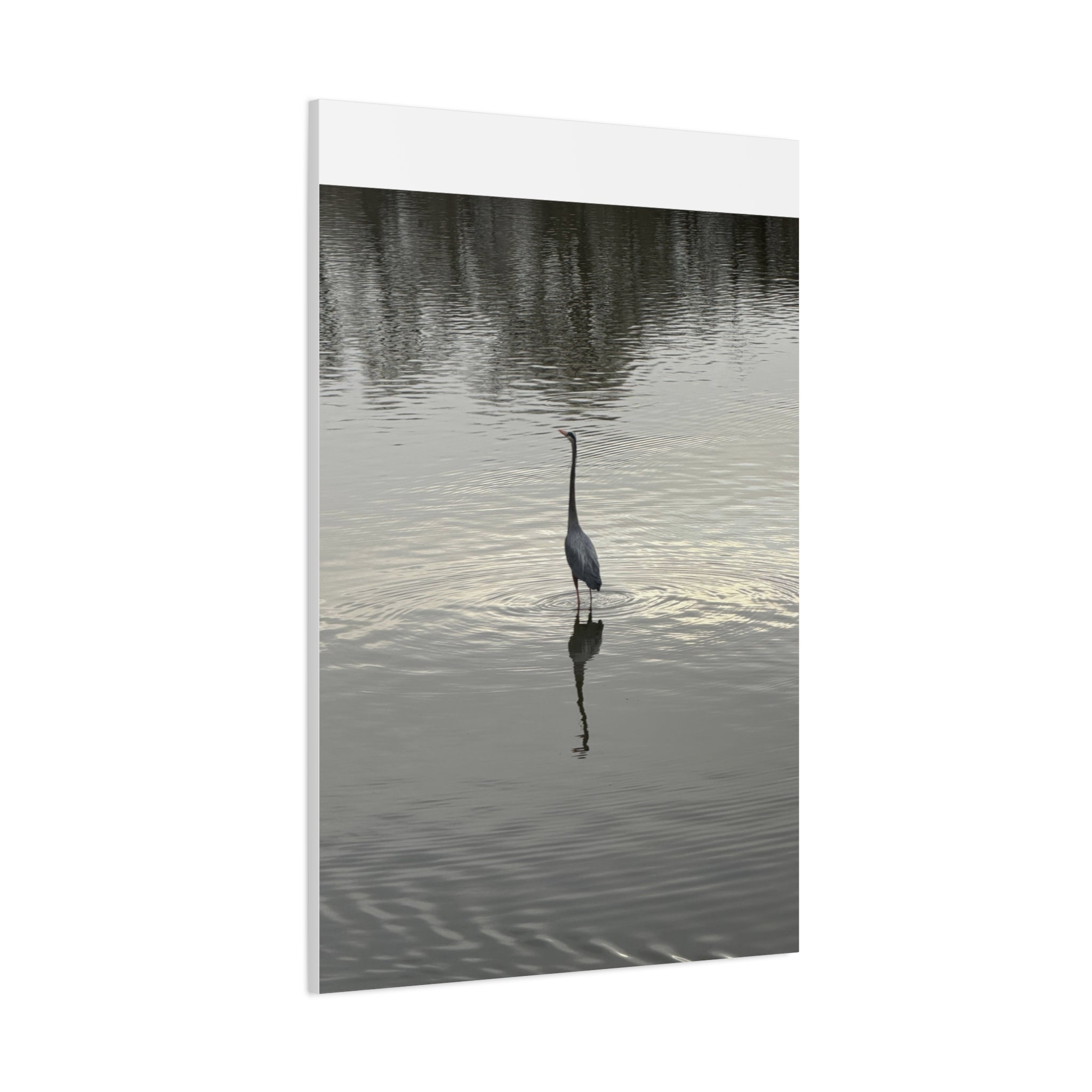 Lake Life Blue Heron Reflection Matte Stretched Canvas – Serene Wall Art