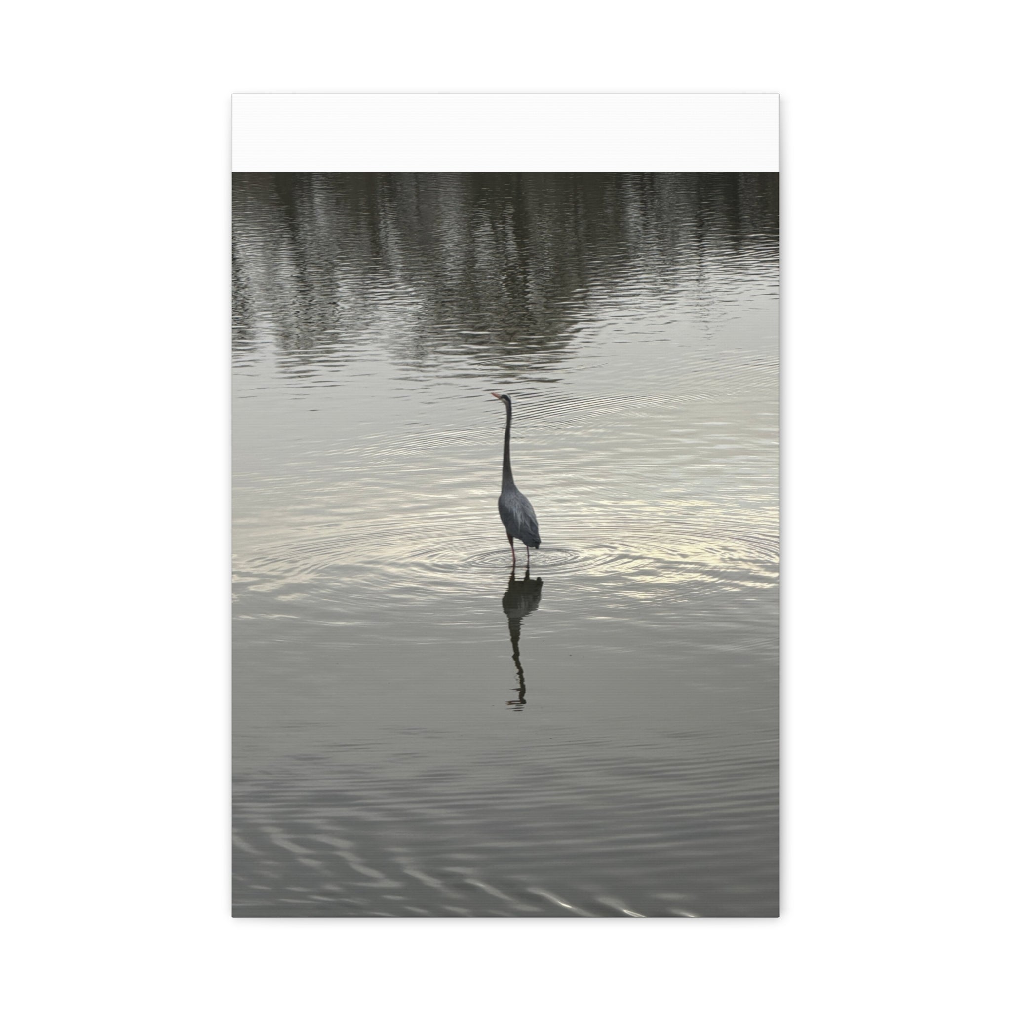 Lake Life Blue Heron Reflection Matte Stretched Canvas – Serene Wall Art
