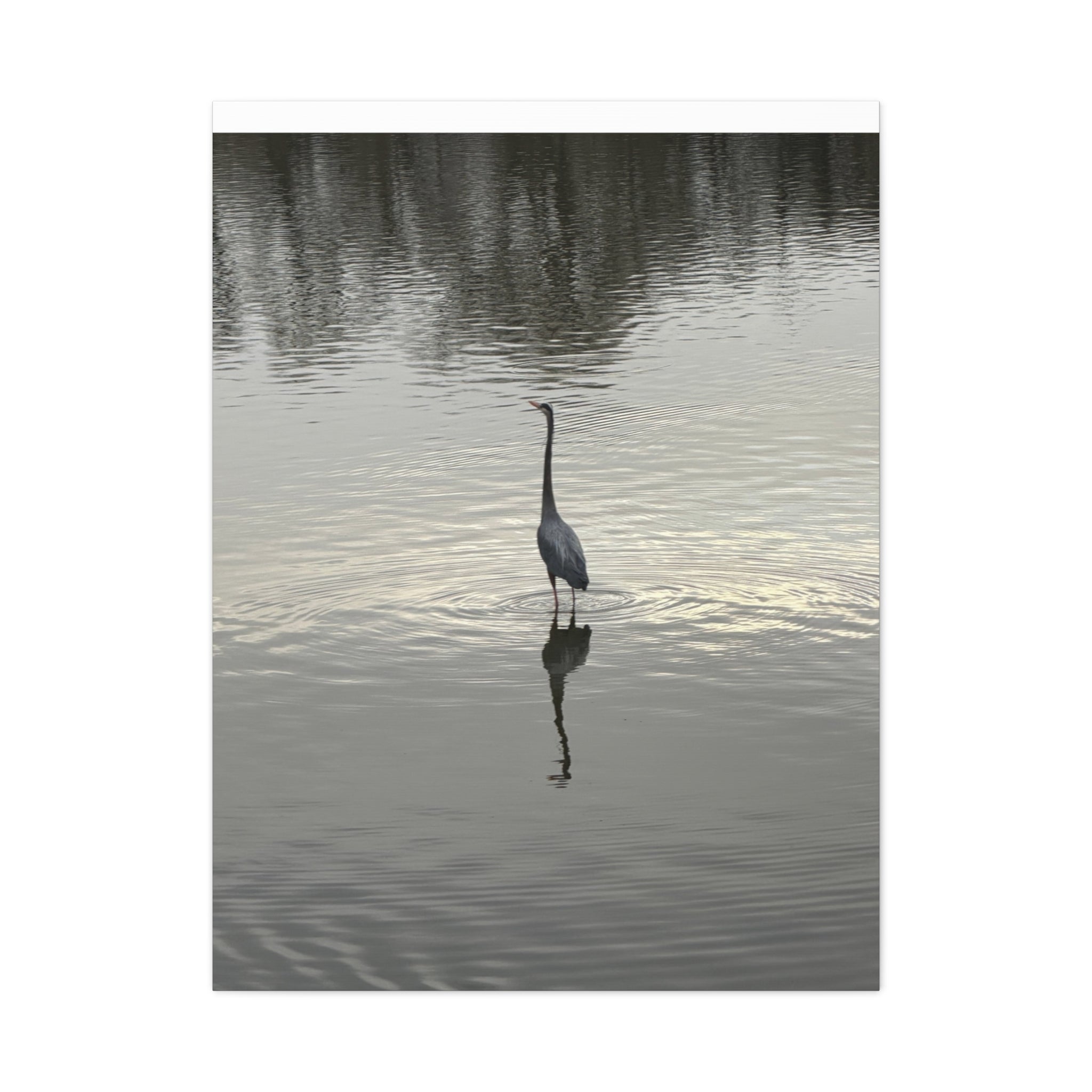 Lake Life Blue Heron Reflection Matte Stretched Canvas – Serene Wall Art