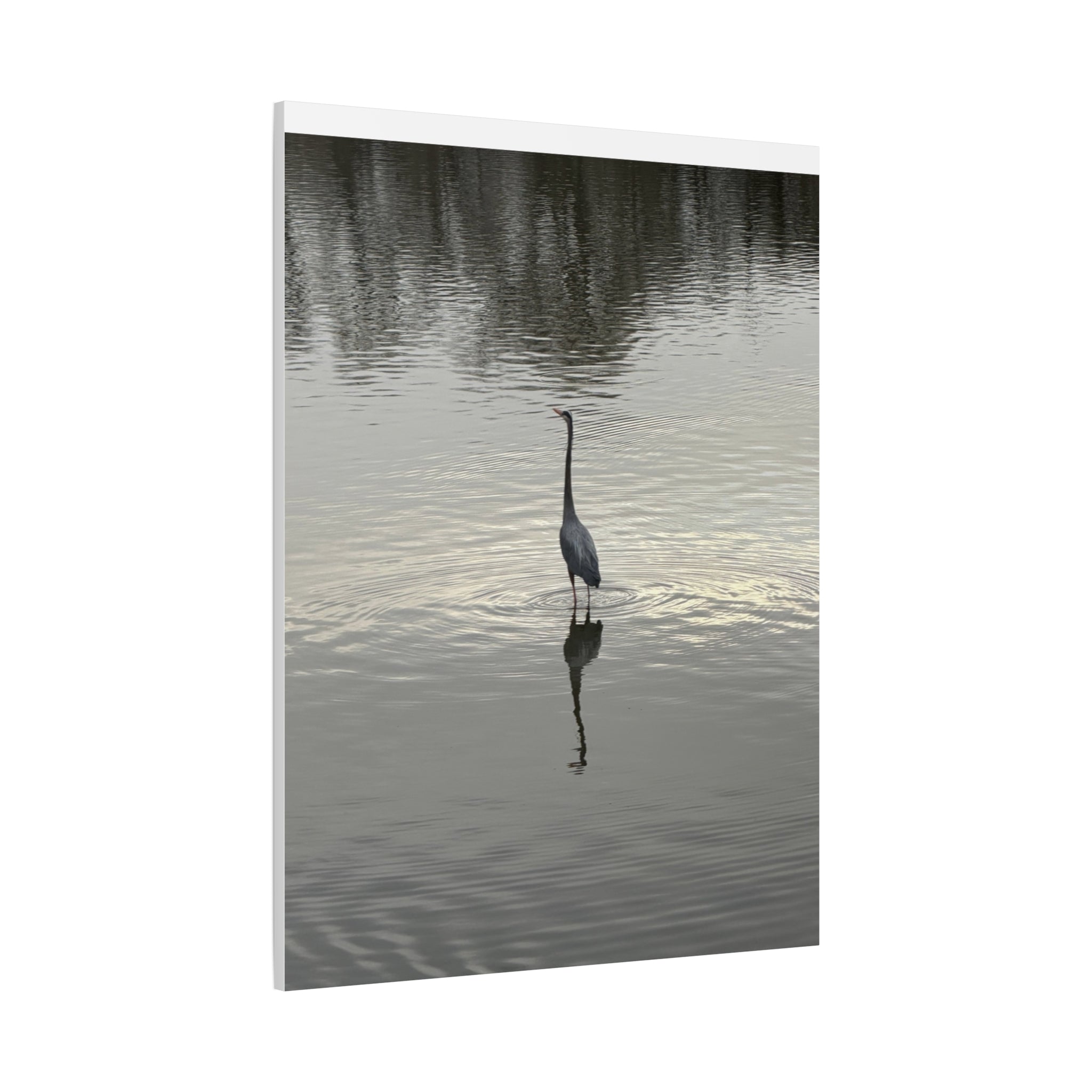 Lake Life Blue Heron Reflection Matte Stretched Canvas – Serene Wall Art