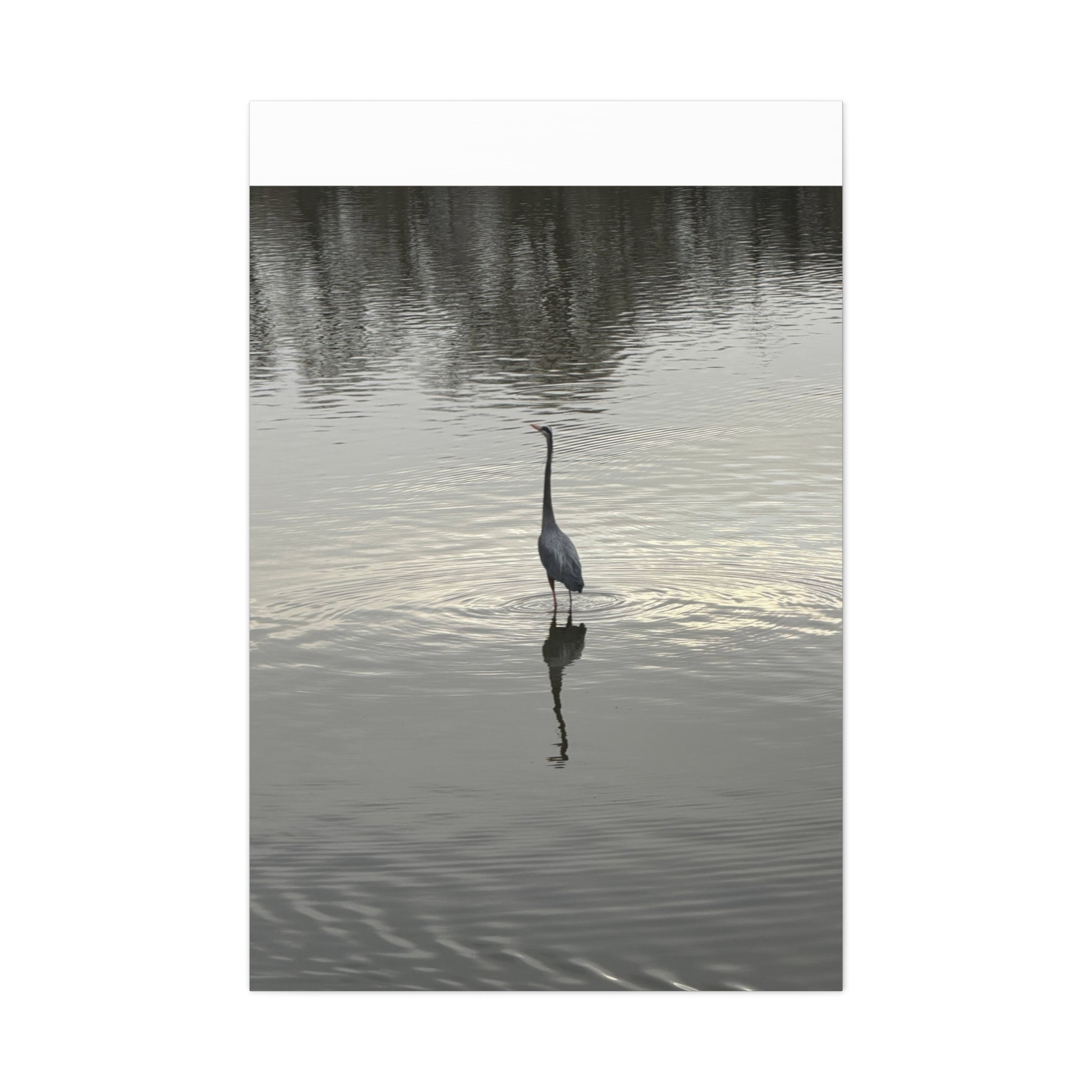 Lake Life Blue Heron Reflection Matte Stretched Canvas – Serene Wall Art