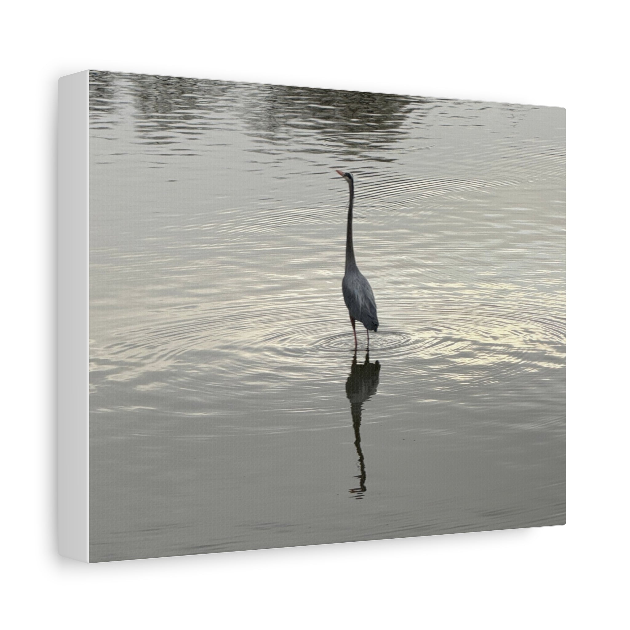 Lake Life Blue Heron Reflection Matte Stretched Canvas – Serene Wall Art