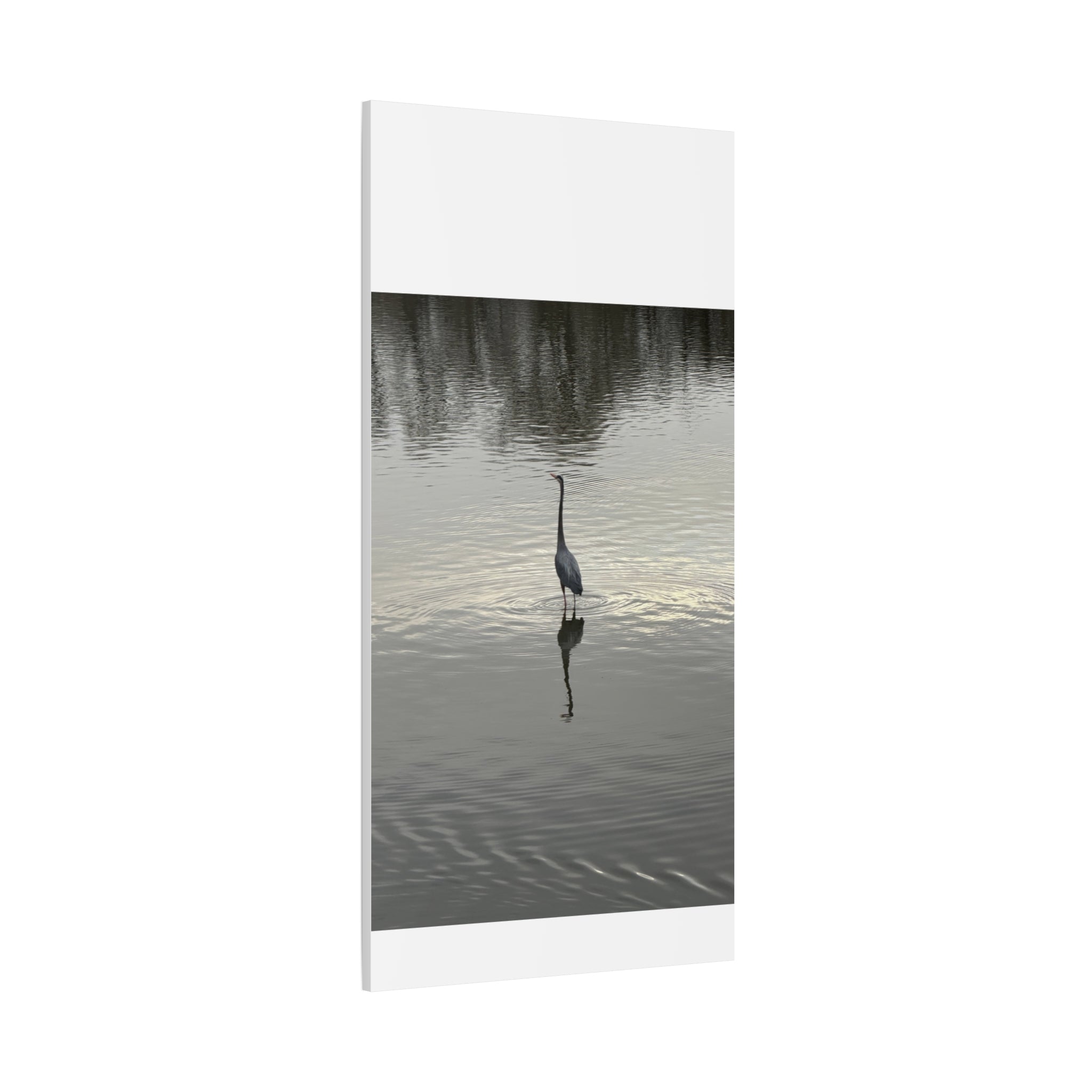 Lake Life Blue Heron Reflection Matte Stretched Canvas – Serene Wall Art