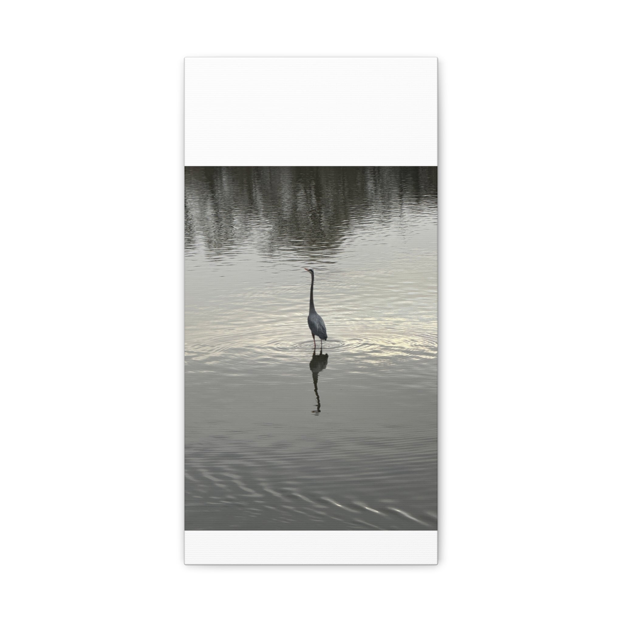 Lake Life Blue Heron Reflection Matte Stretched Canvas – Serene Wall Art