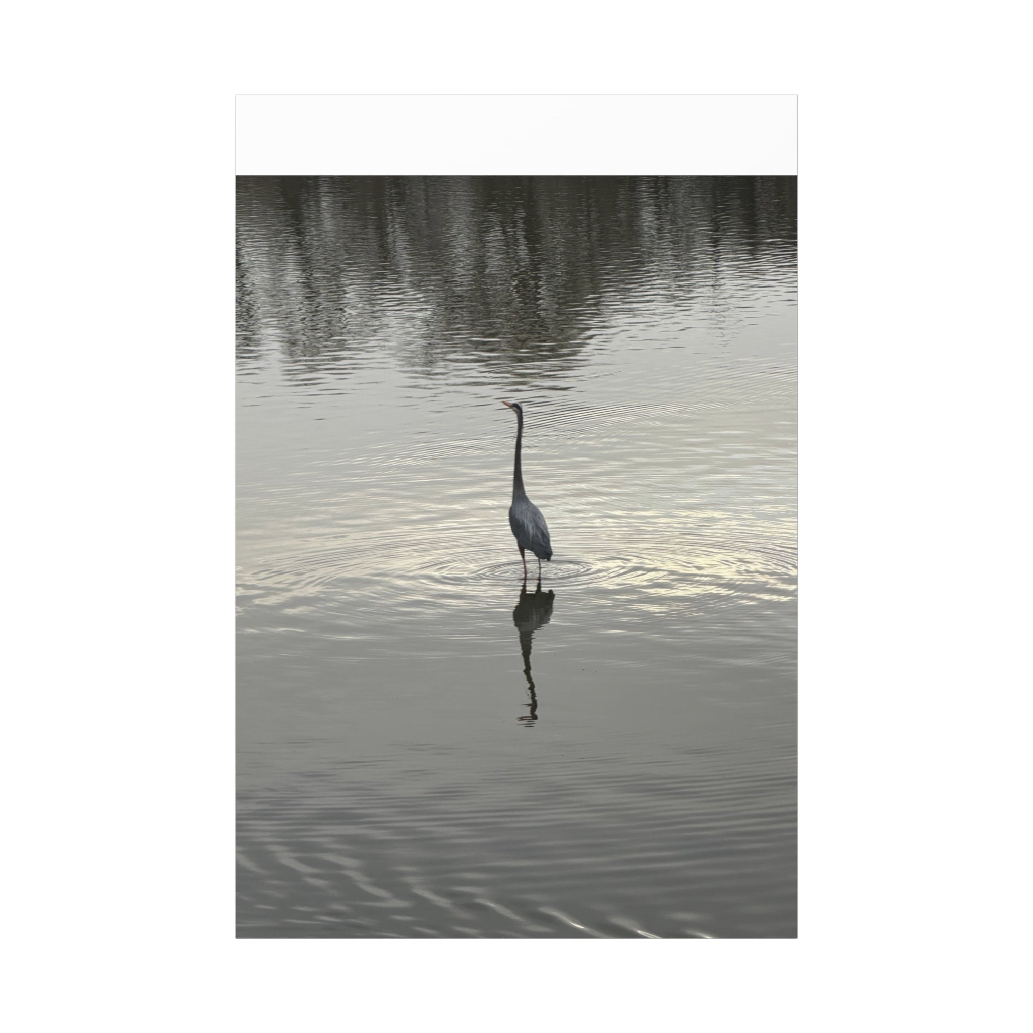 Lake Life Blue Heron Reflection Matte Stretched Canvas – Serene Wall Art