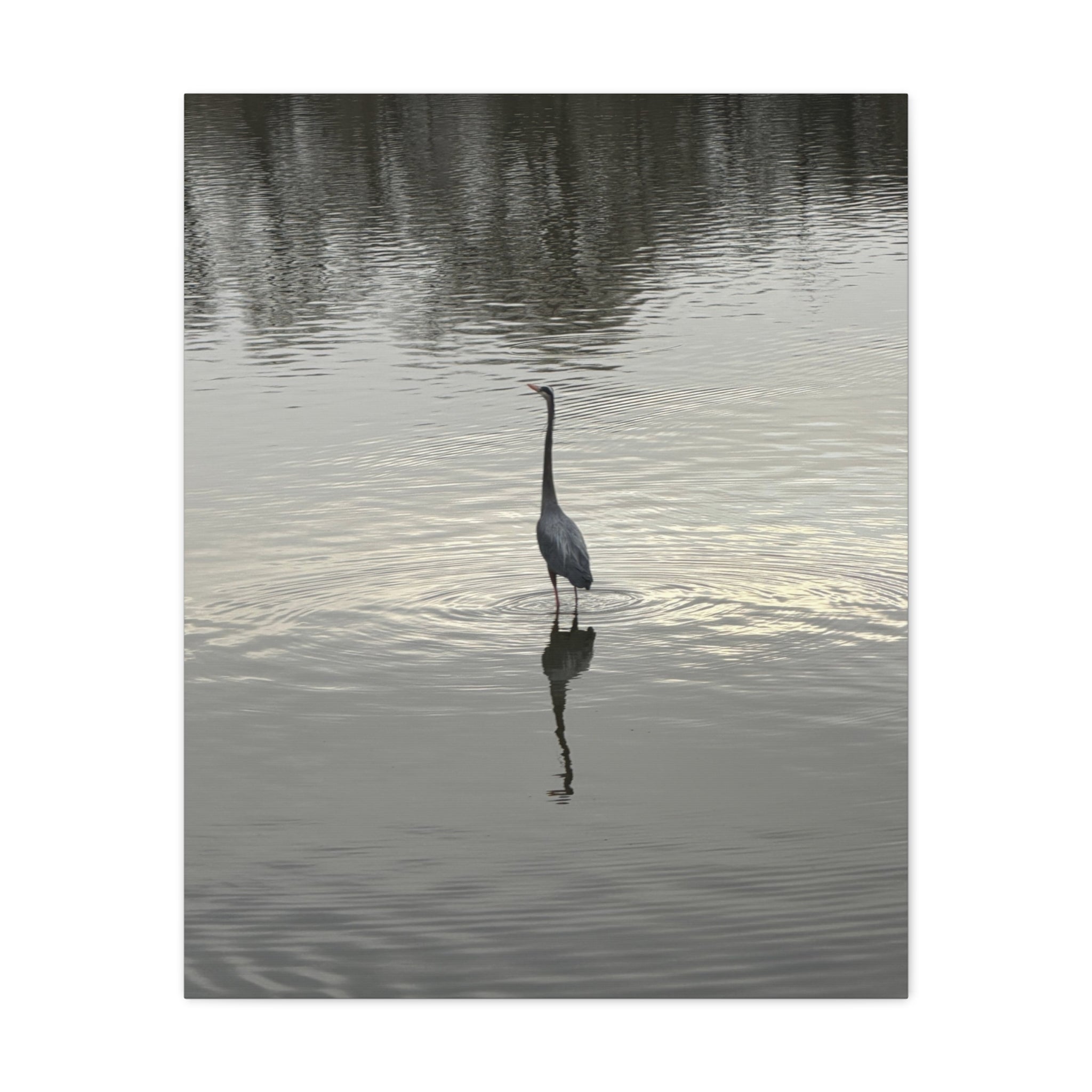 Lake Life Blue Heron Reflection Matte Stretched Canvas – Serene Wall Art