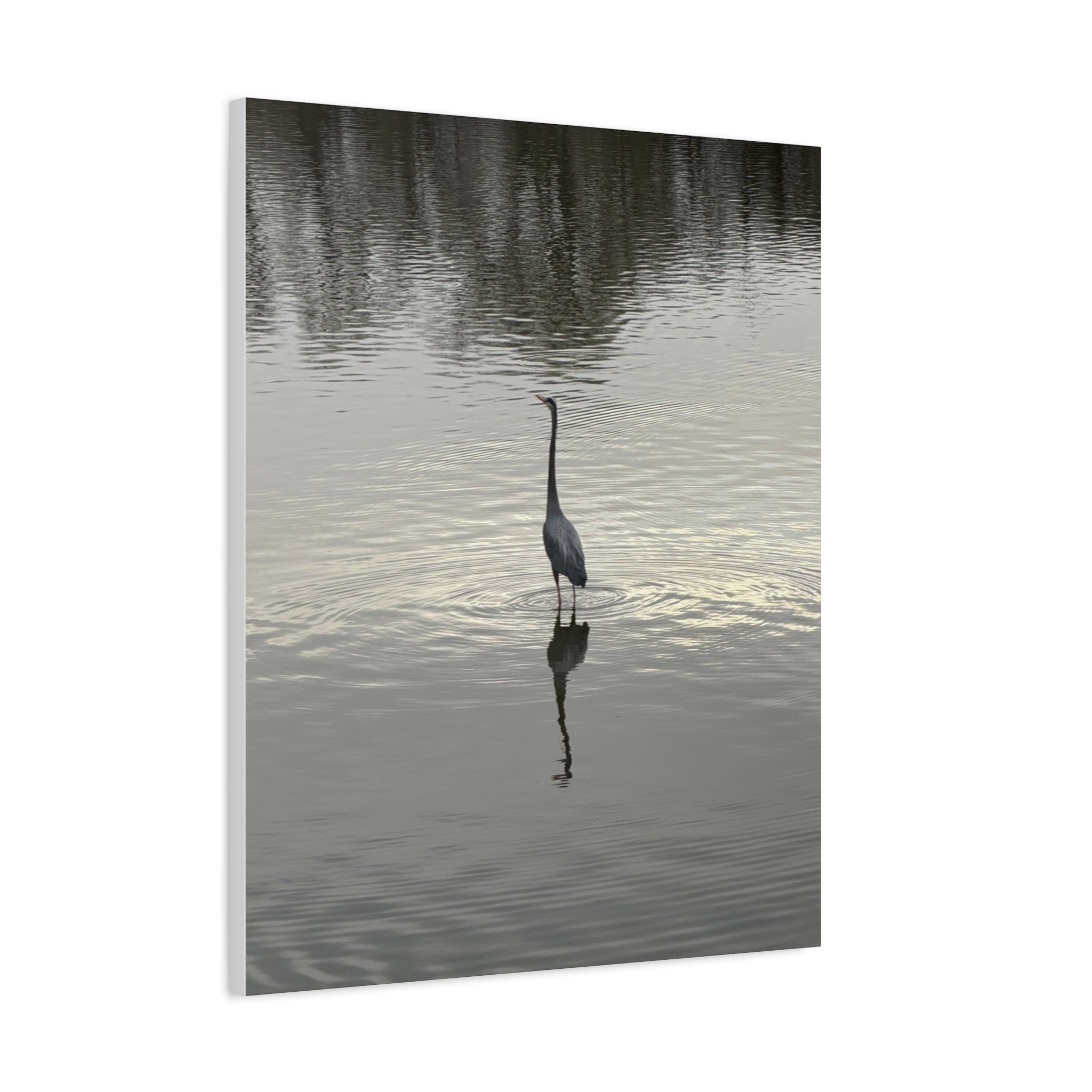 Lake Life Blue Heron Reflection Matte Stretched Canvas – Serene Wall Art