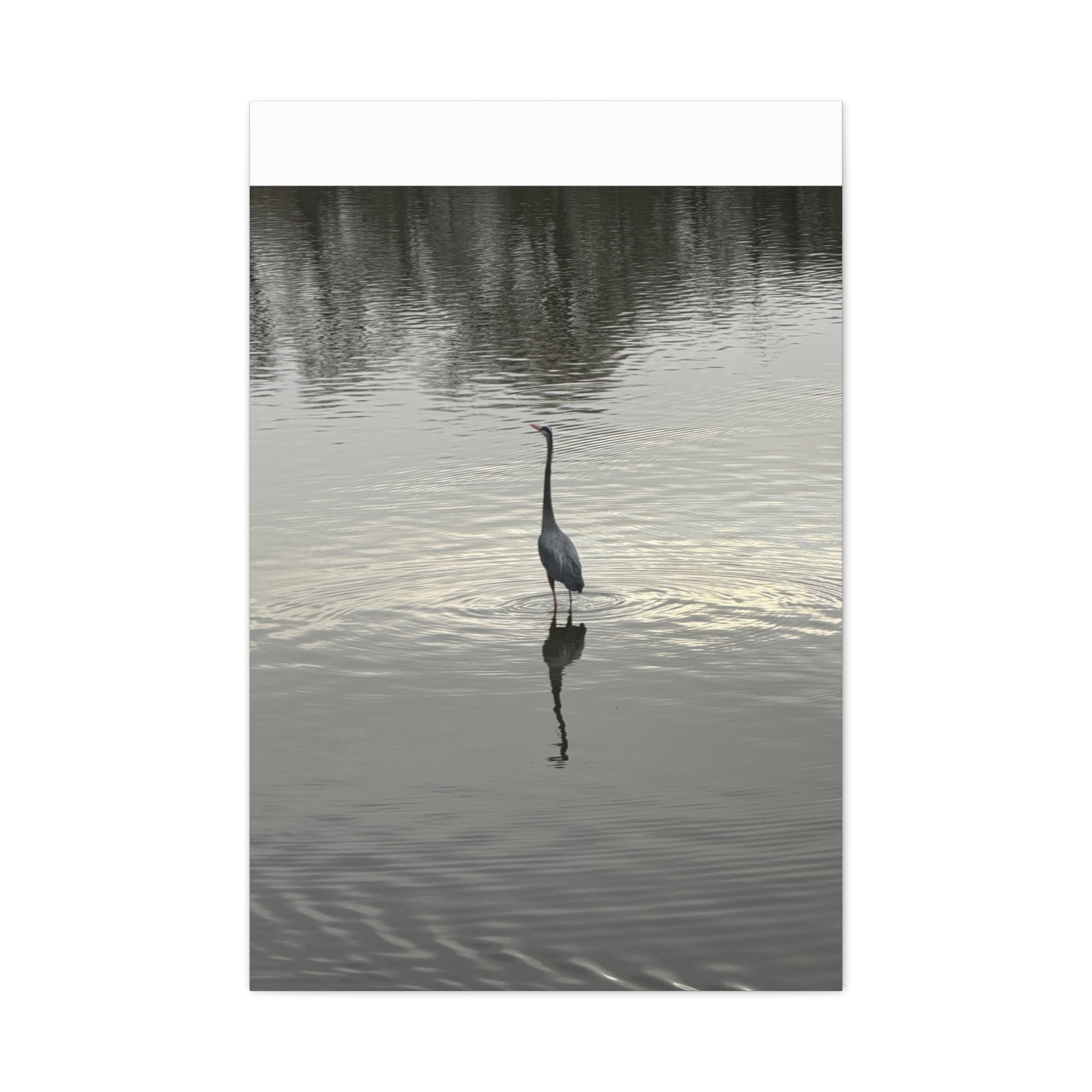 Lake Life Blue Heron Reflection Matte Stretched Canvas – Serene Wall Art
