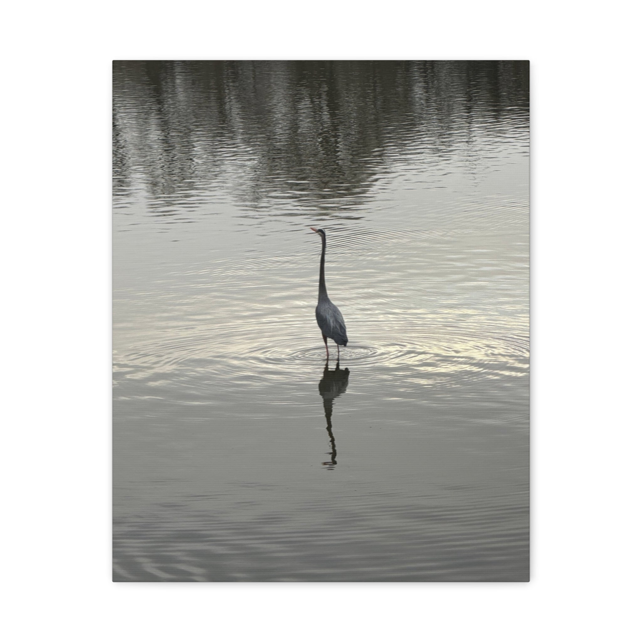 Lake Life Blue Heron Reflection Matte Stretched Canvas – Serene Wall Art