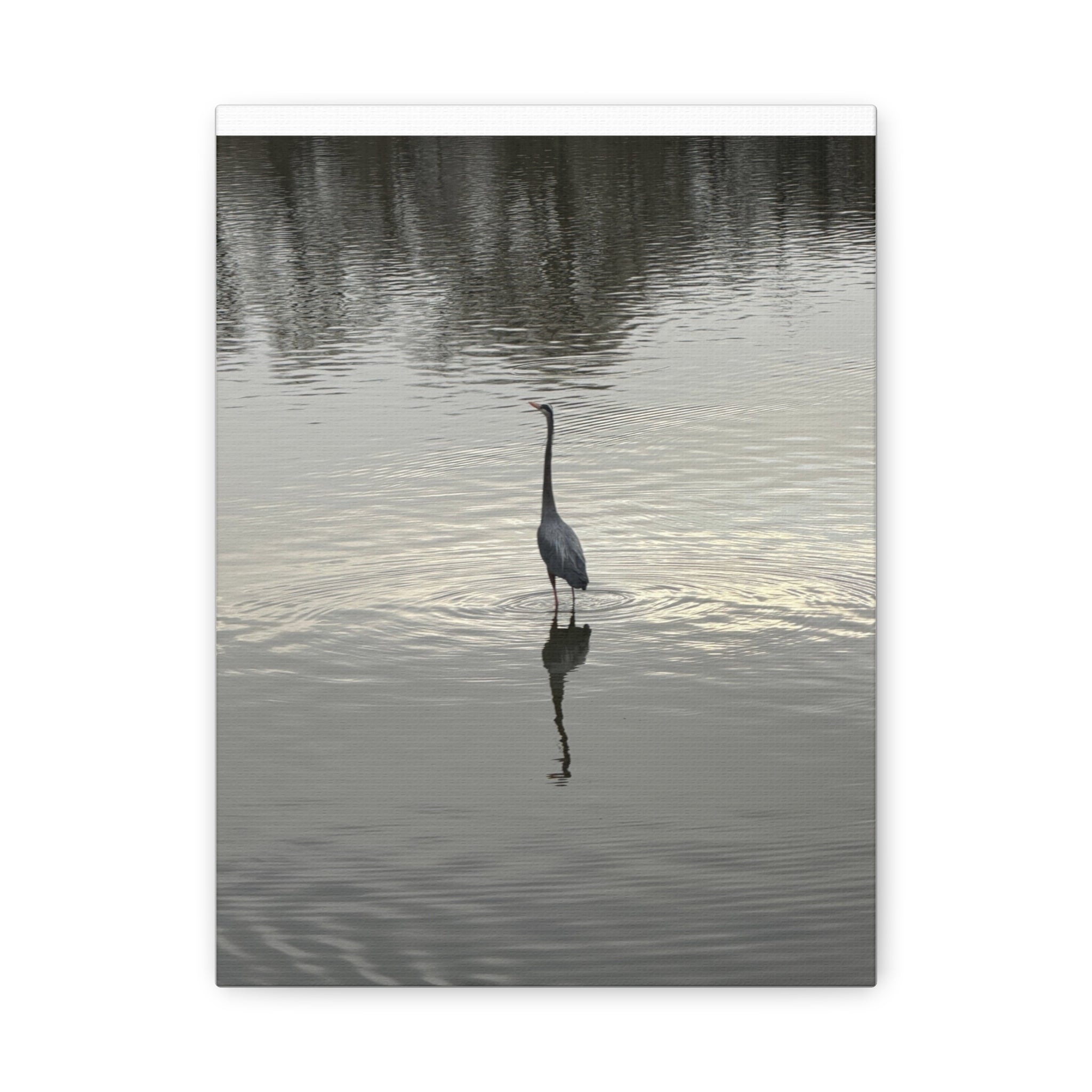 Lake Life Blue Heron Reflection Matte Stretched Canvas – Serene Wall Art