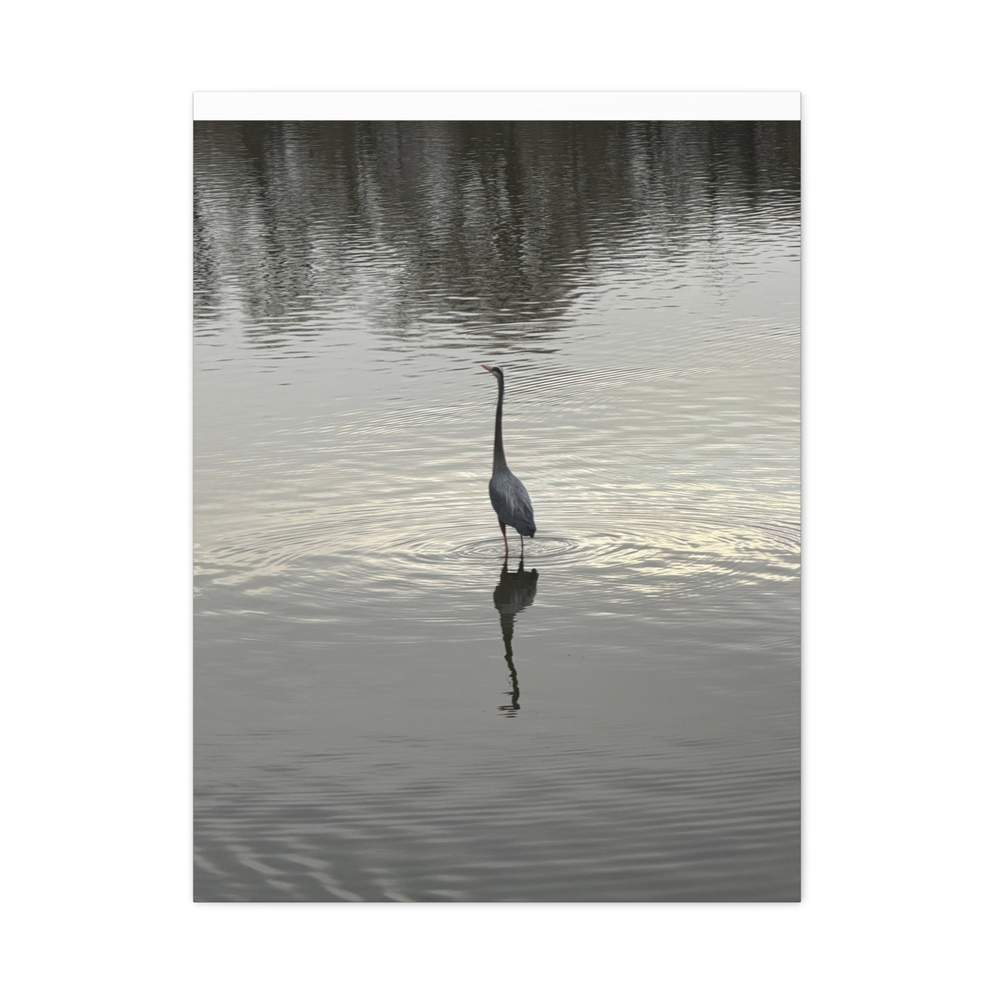 Lake Life Blue Heron Reflection Matte Stretched Canvas – Serene Wall Art