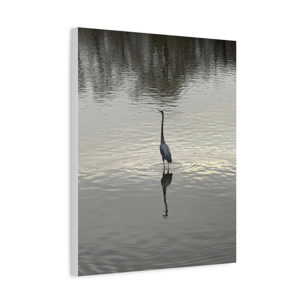 Lake Life Blue Heron Reflection Matte Stretched Canvas – Serene Wall Art