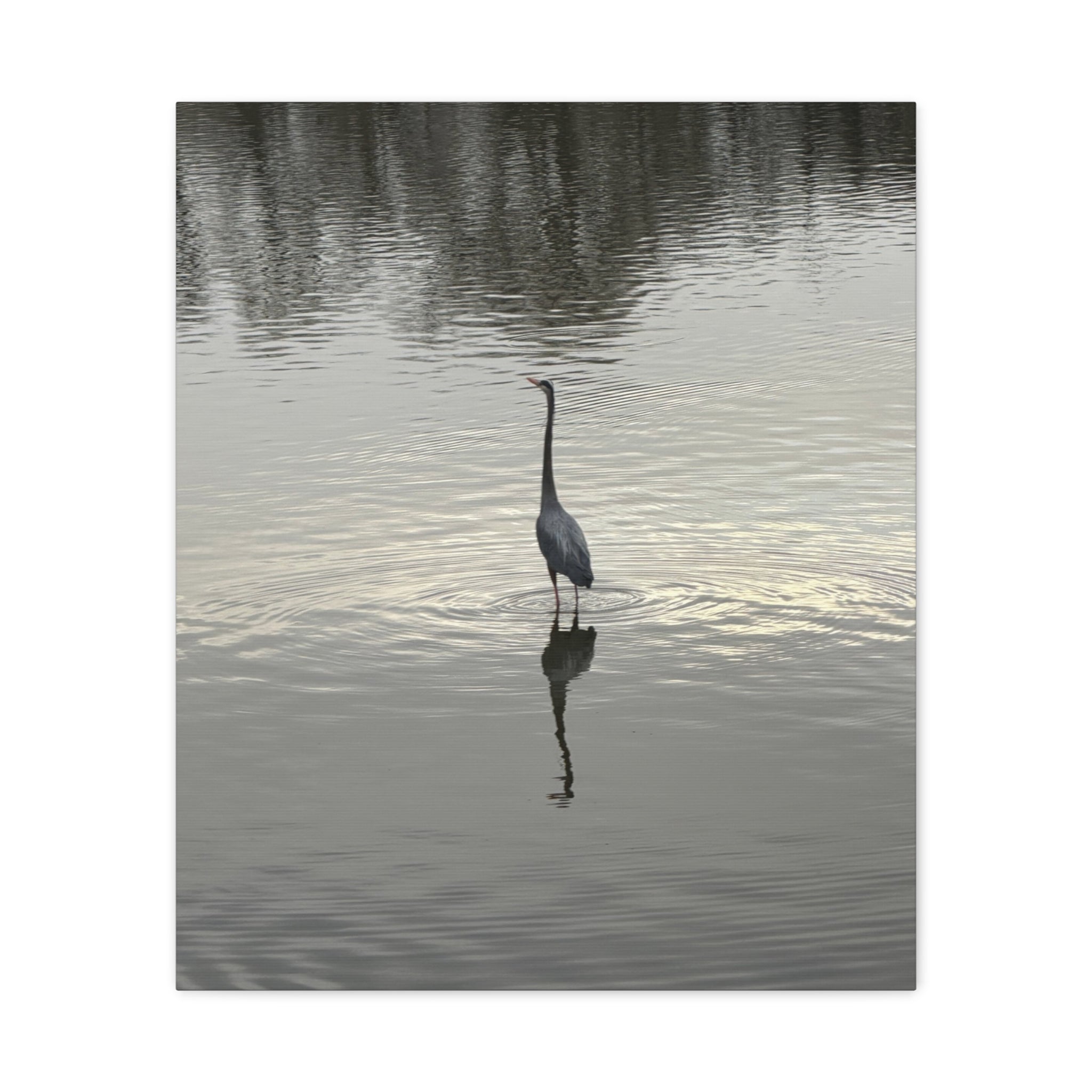 Lake Life Blue Heron Reflection Matte Stretched Canvas – Serene Wall Art