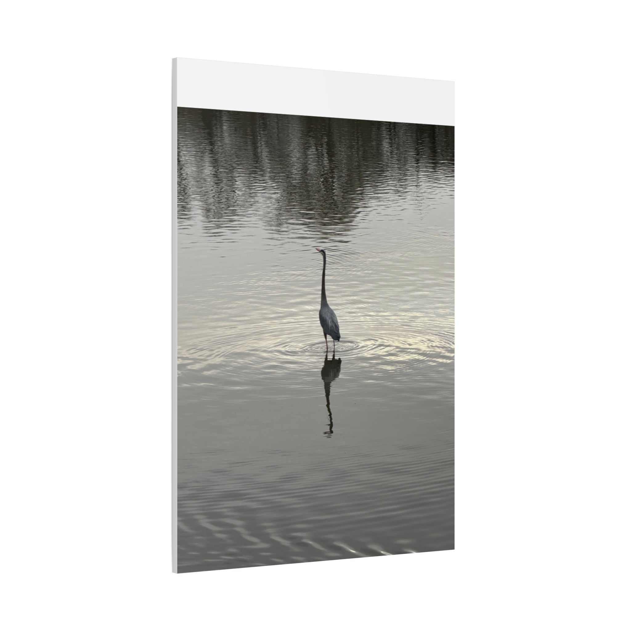 Lake Life Blue Heron Reflection Matte Stretched Canvas – Serene Wall Art