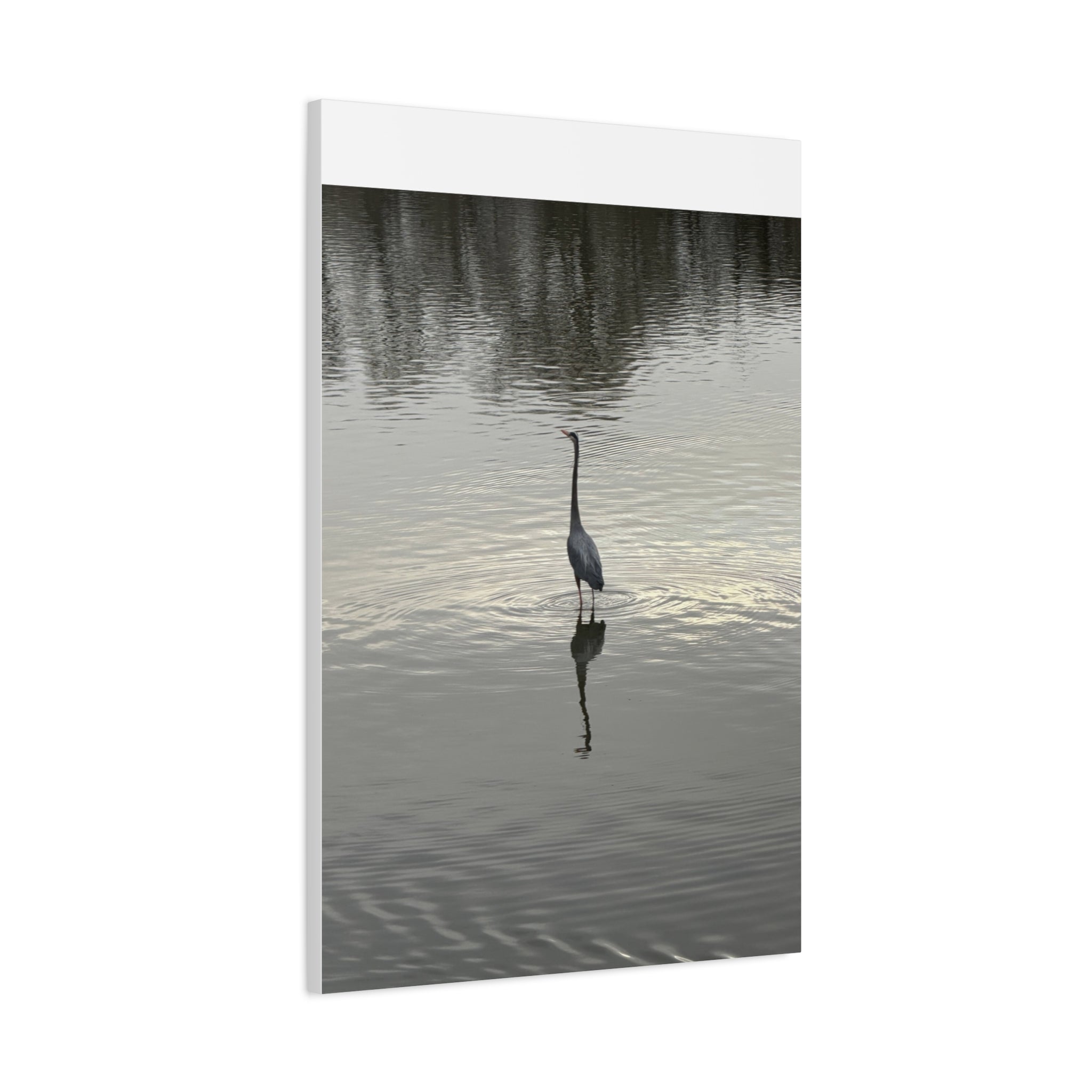 Lake Life Blue Heron Reflection Matte Stretched Canvas – Serene Wall Art