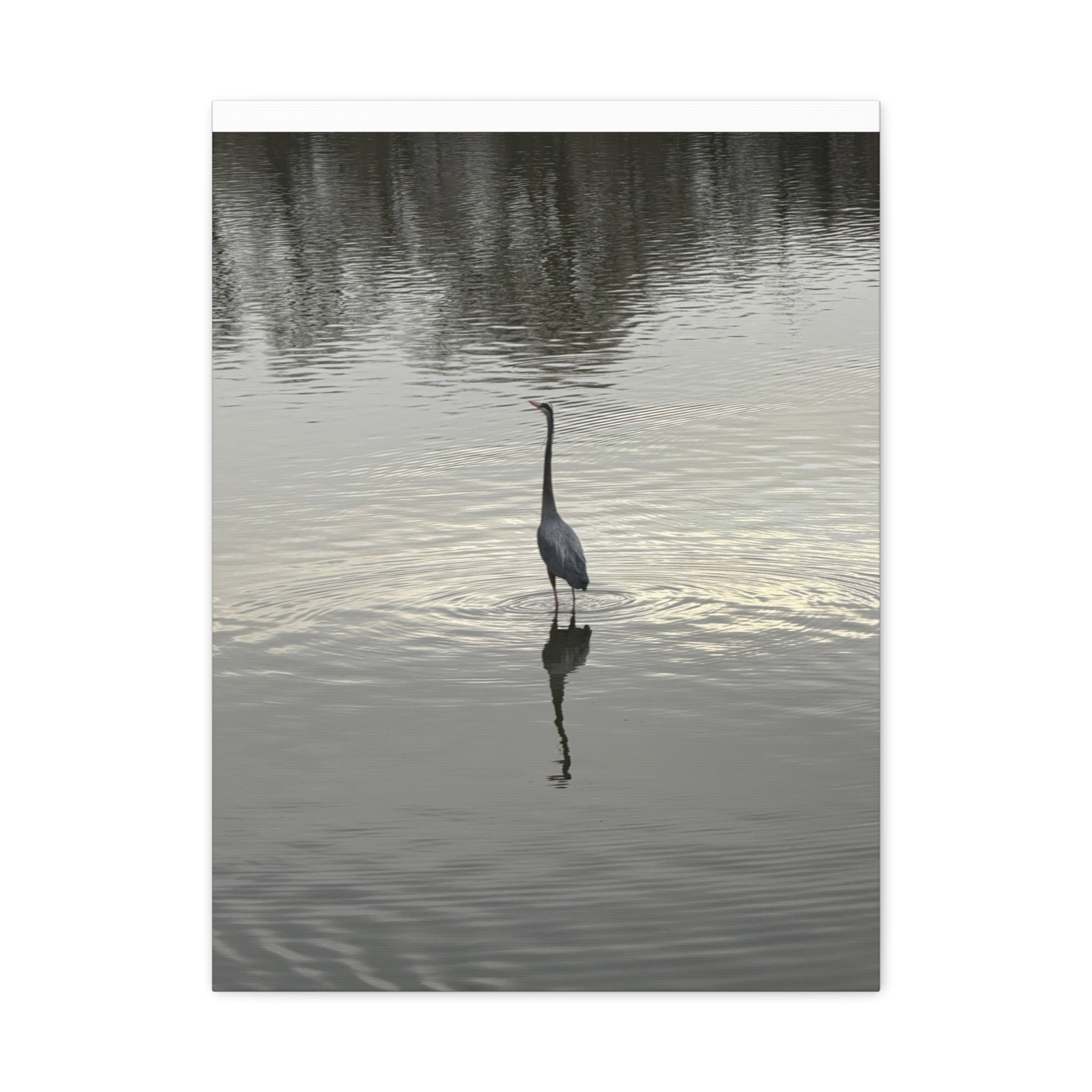Lake Life Blue Heron Reflection Matte Stretched Canvas – Serene Wall Art