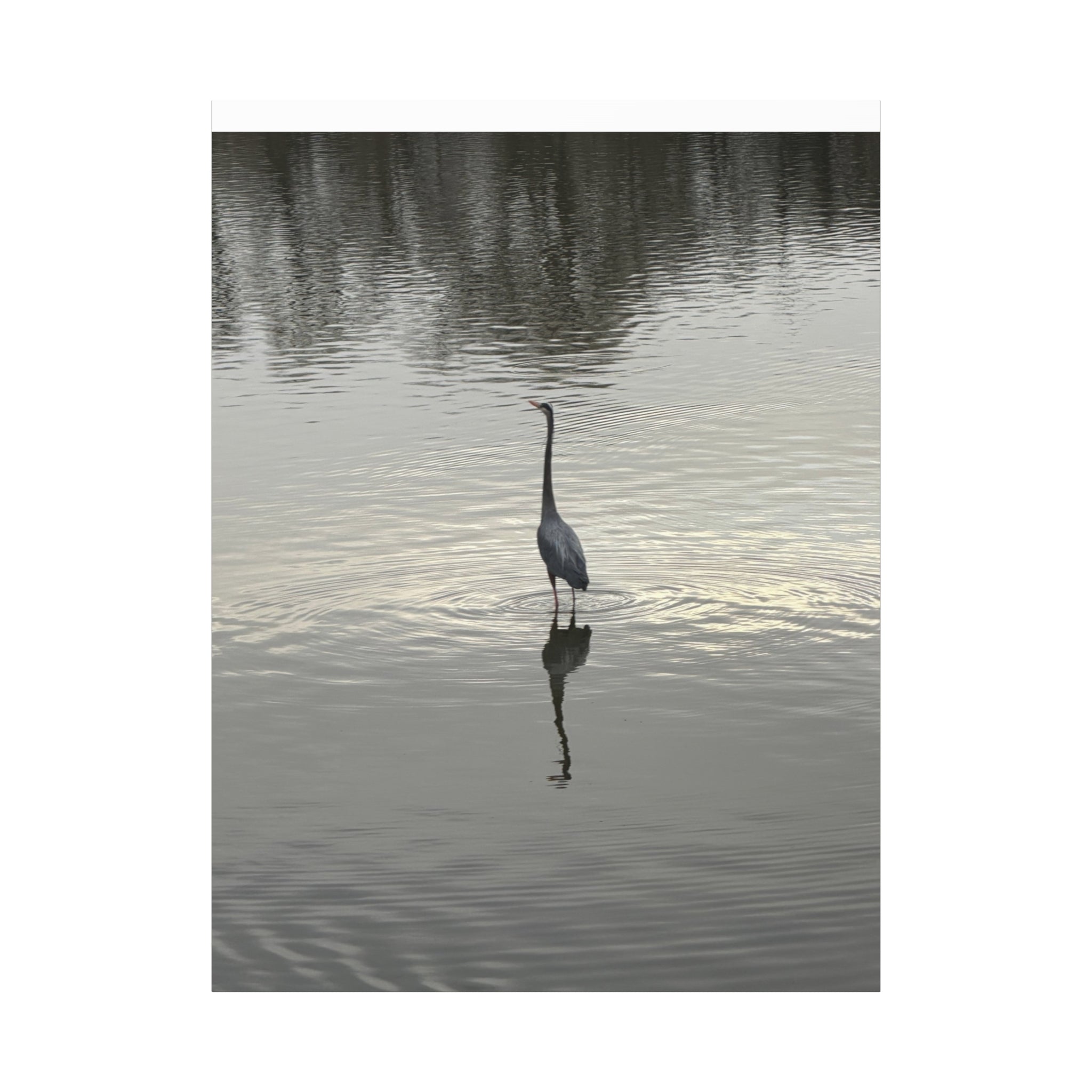 Lake Life Blue Heron Reflection Matte Stretched Canvas – Serene Wall Art