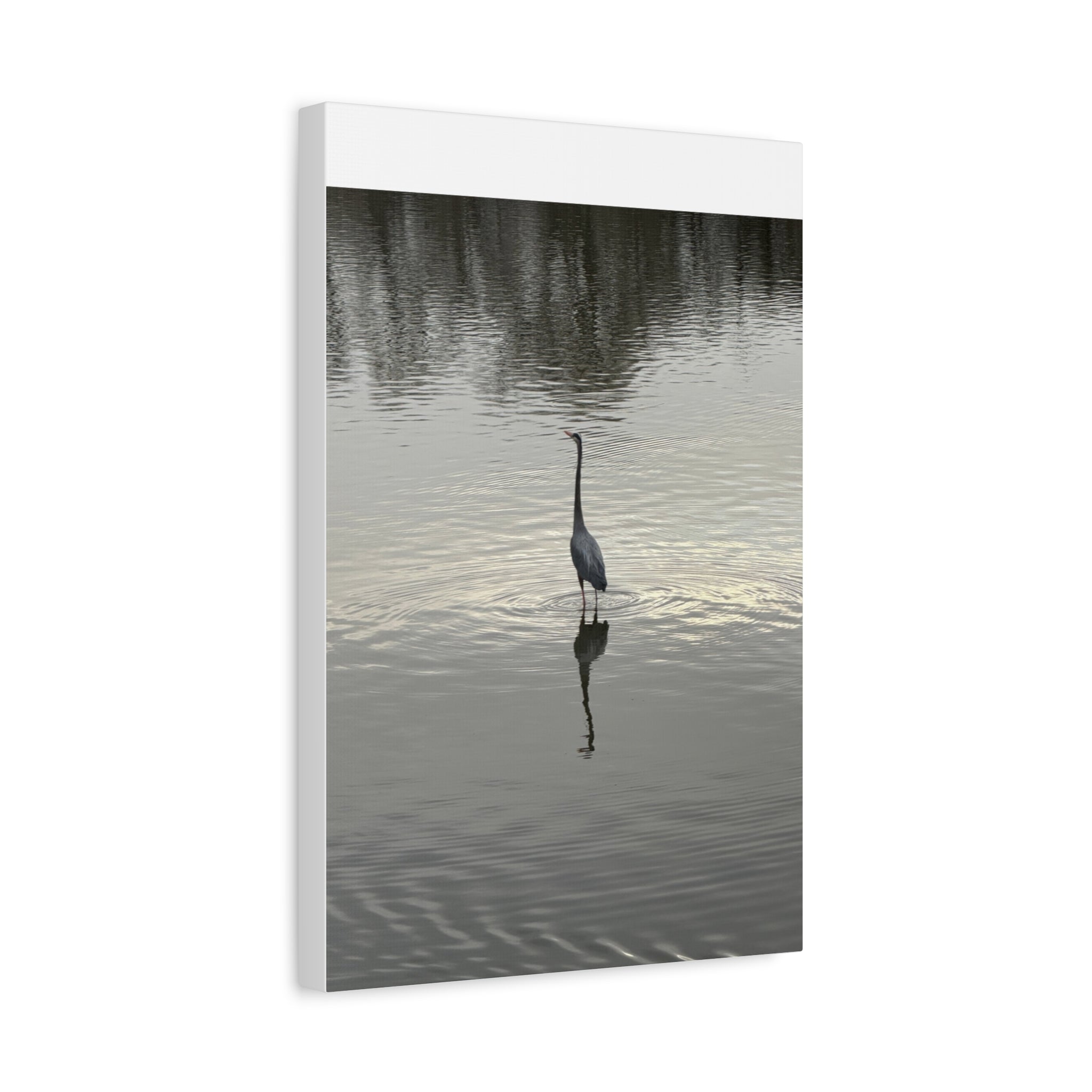 Lake Life Blue Heron Reflection Matte Stretched Canvas – Serene Wall Art