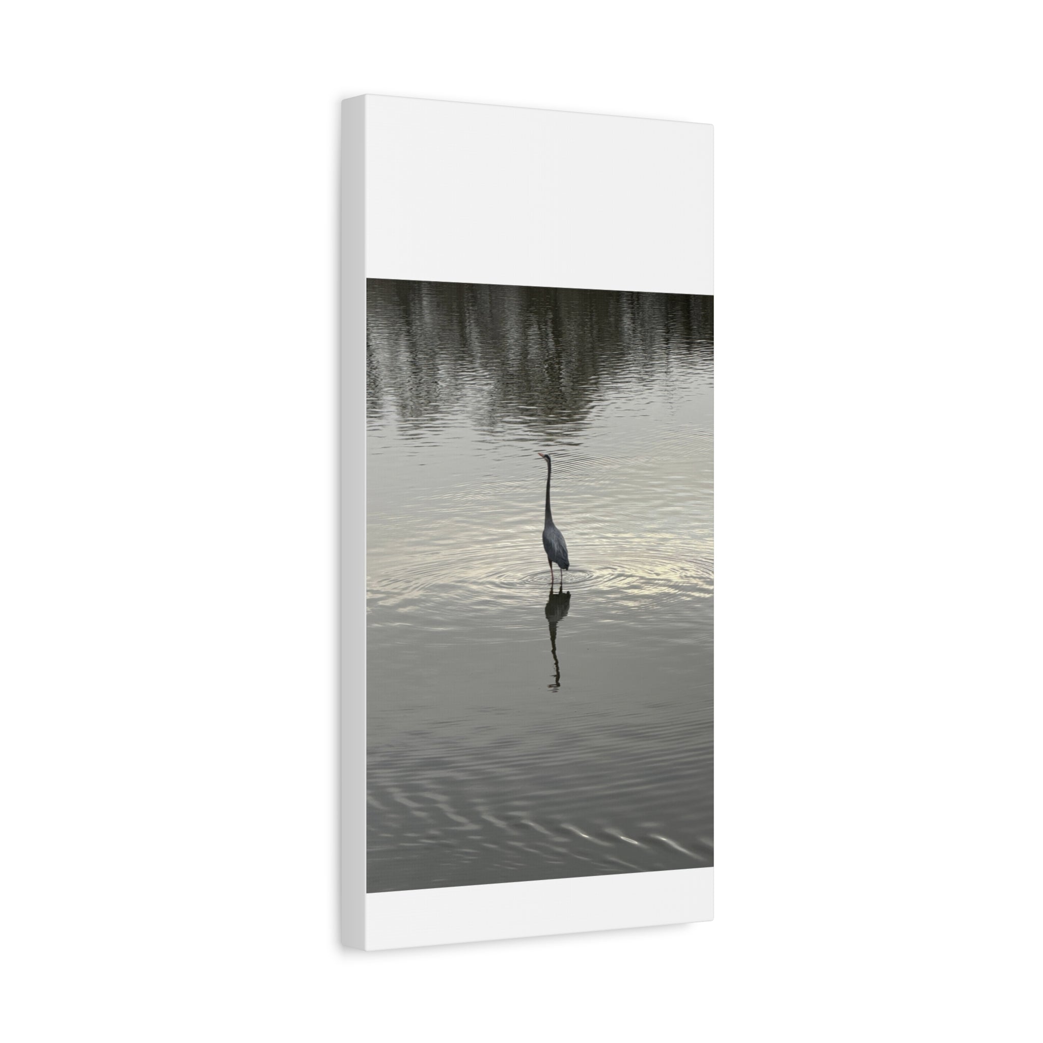 Lake Life Blue Heron Reflection Matte Stretched Canvas – Serene Wall Art