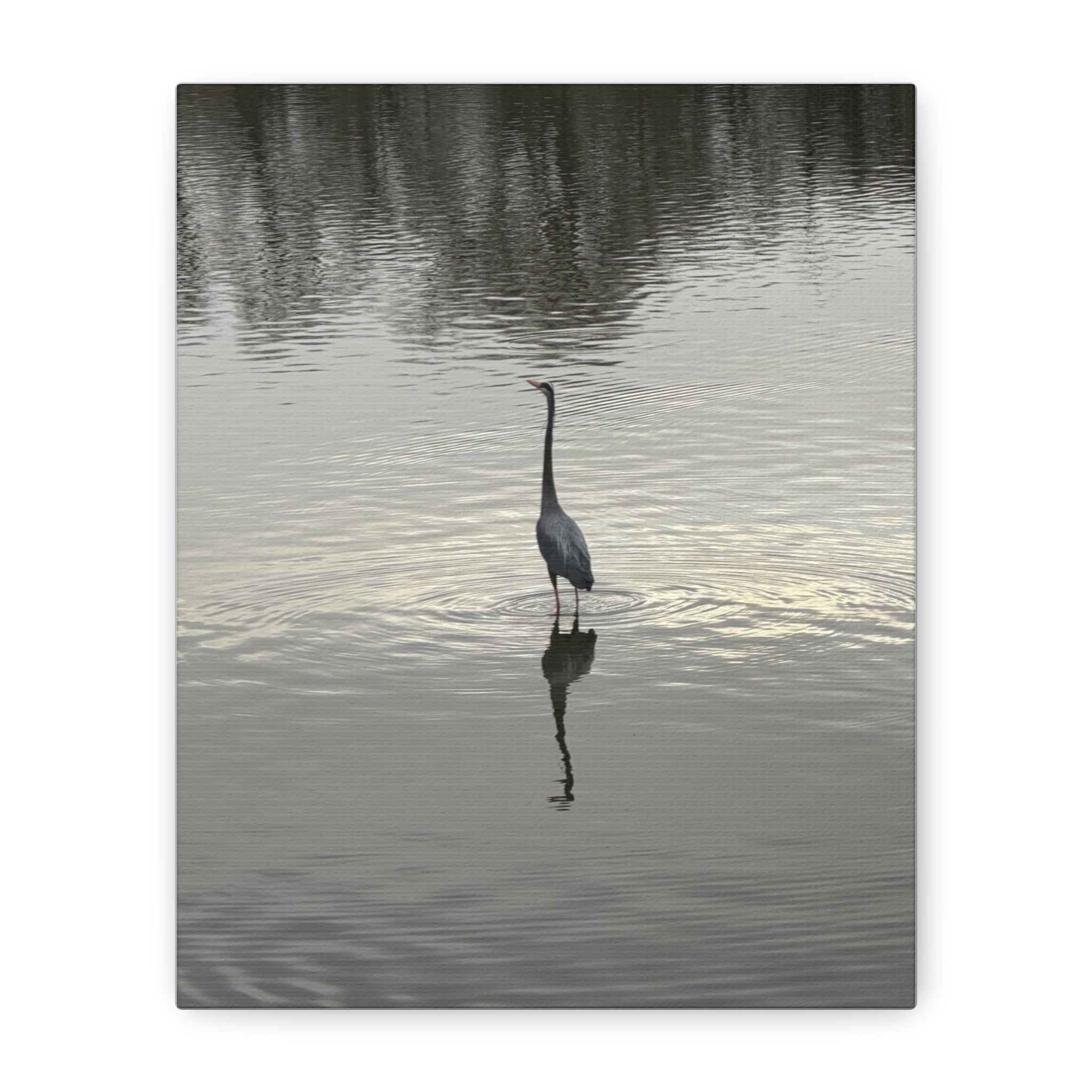 Lake Life Blue Heron Reflection Matte Stretched Canvas – Serene Wall Art