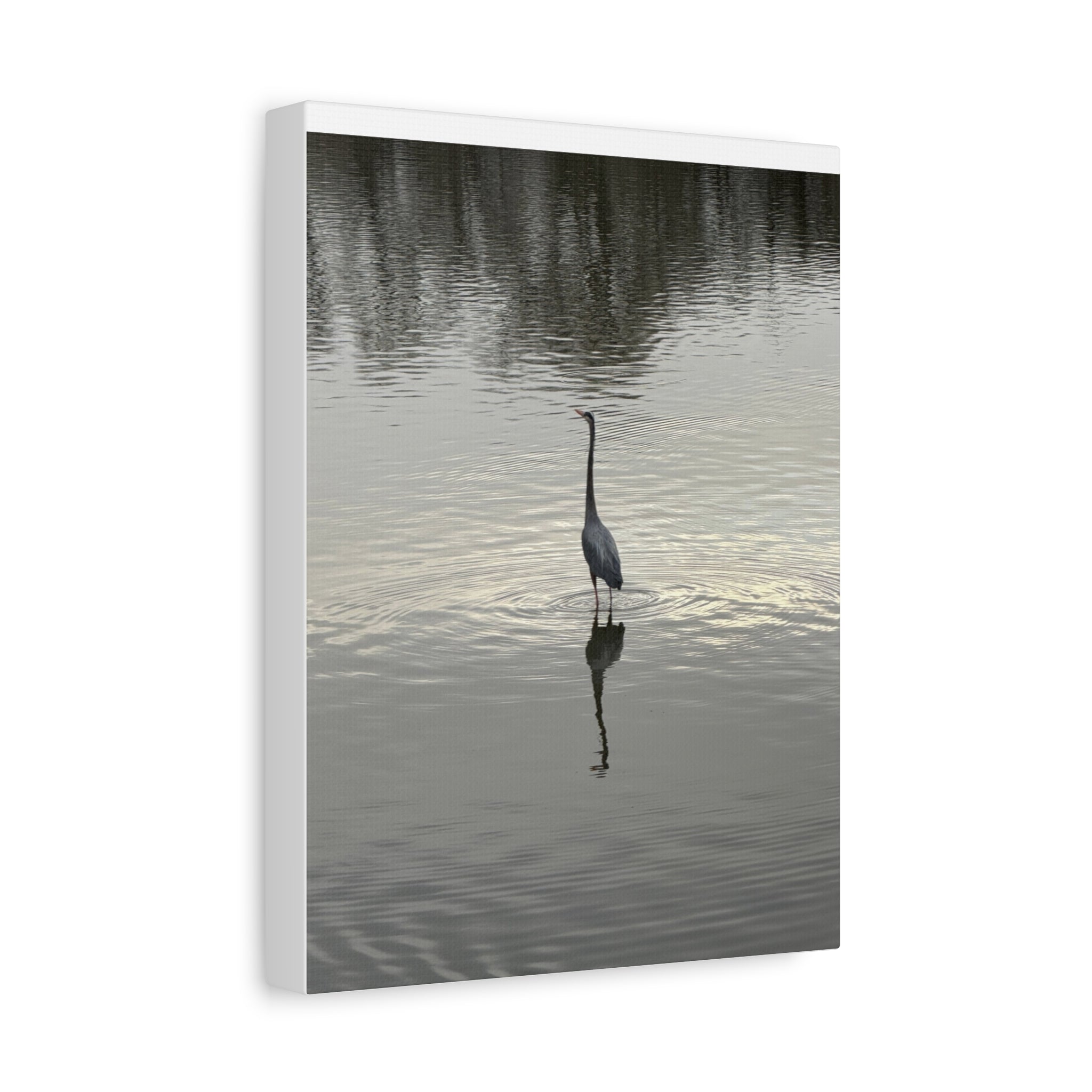 Lake Life Blue Heron Reflection Matte Stretched Canvas – Serene Wall Art