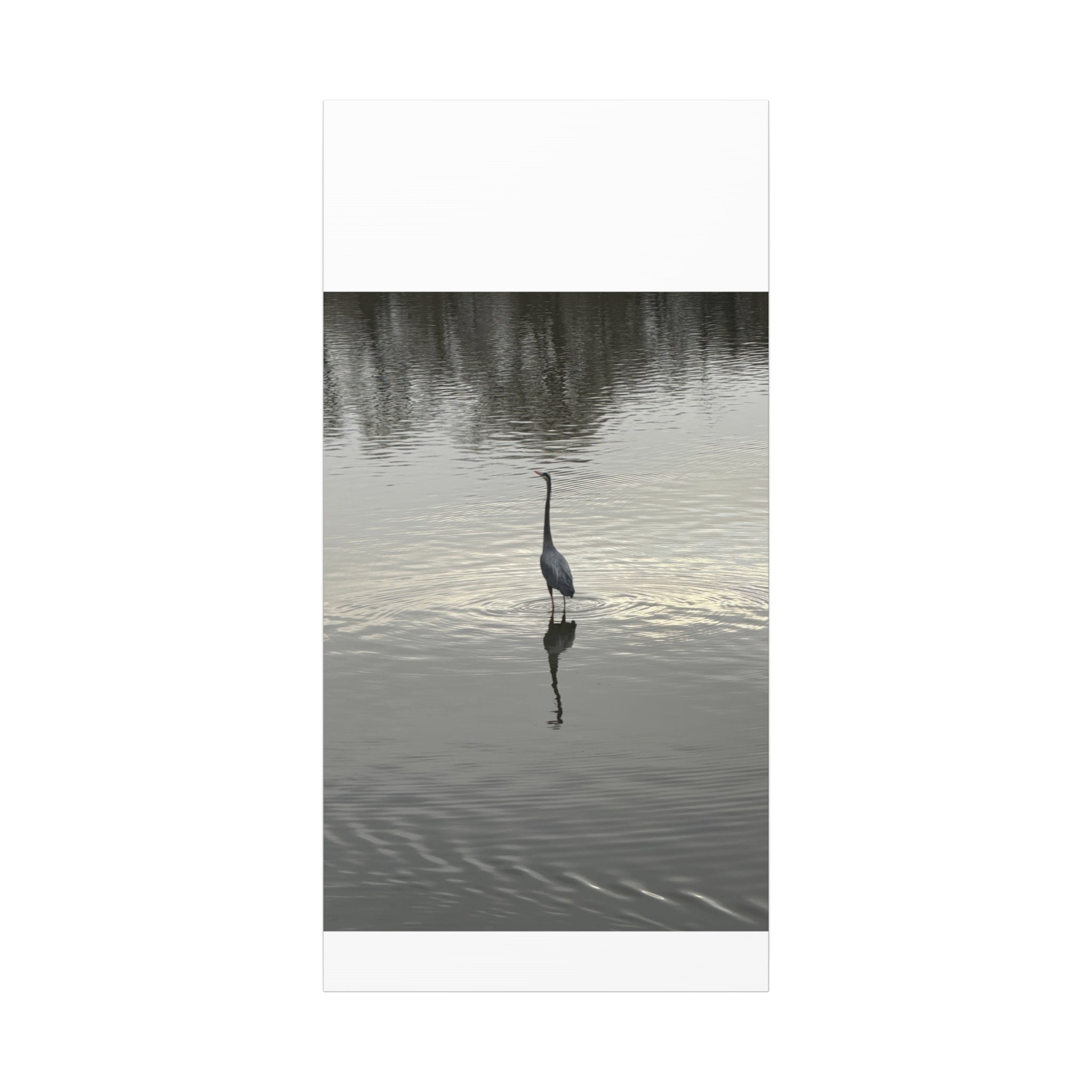 Lake Life Blue Heron Reflection Matte Stretched Canvas – Serene Wall Art
